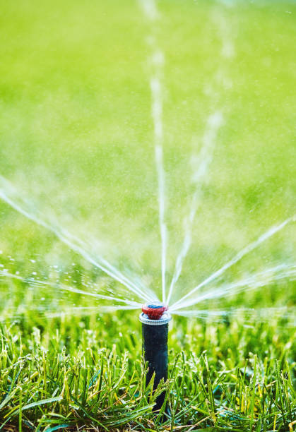 istock Irrigation. Watering lawn in summer from sprinkler system 1211891862