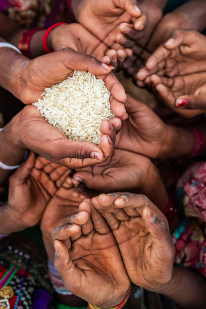 istock Hunger in Africa - hands asking for food 1211894335