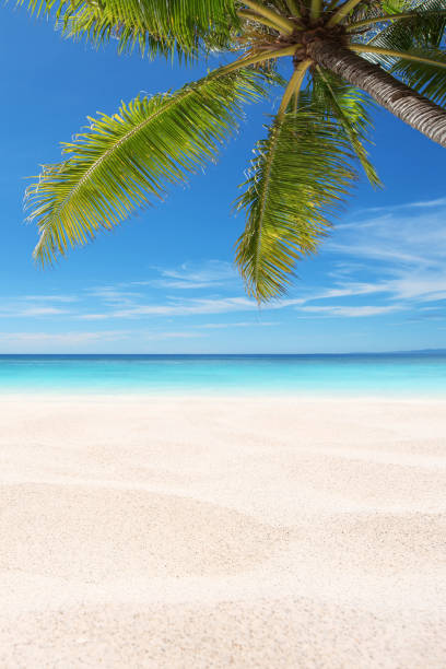 istock Exotic tropical beach scene for background or wallpaper 1211901768