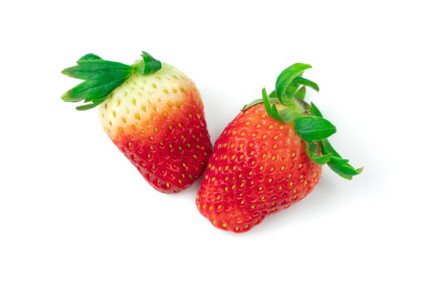 istock Close up Fresh strawberry fruit placed on a white background 1211902838