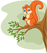 Vector illustration of Cartoon squirrel holding pine cone on tree branch