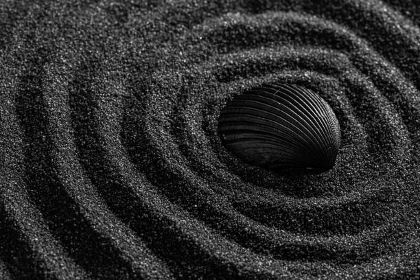 istock Black shell on a black sand dunes background. Black design. 1211908350
