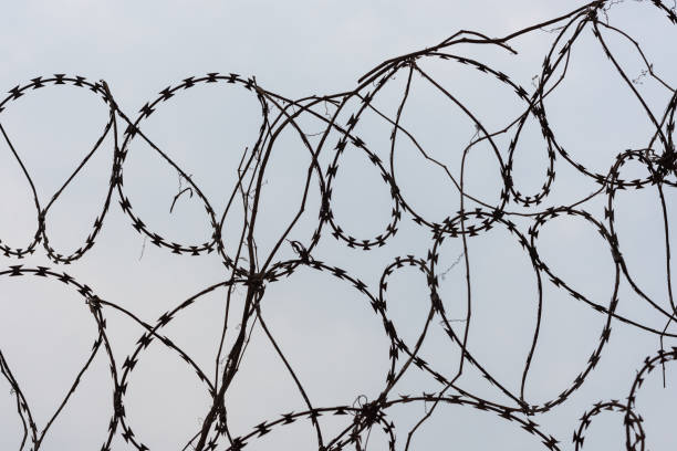 istock Barbed steel wire on border with sky background 1211909206