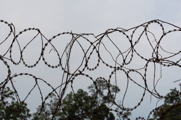 istock Barbed steel wire on border with sky background 1211909207