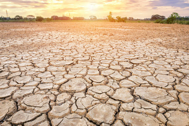 istock Brown dry soil or cracked ground texture on blue sky background with white clouds sunset. 1211917125