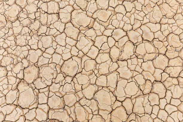 istock Brown dry soil or cracked ground texture background. 1211917308