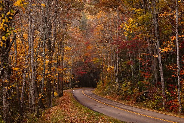 istock Curving road at autumn 121191839