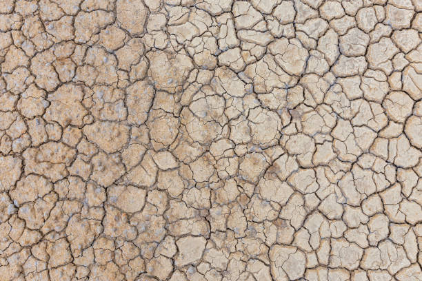 istock Brown dry soil or cracked ground texture background. 1211918729