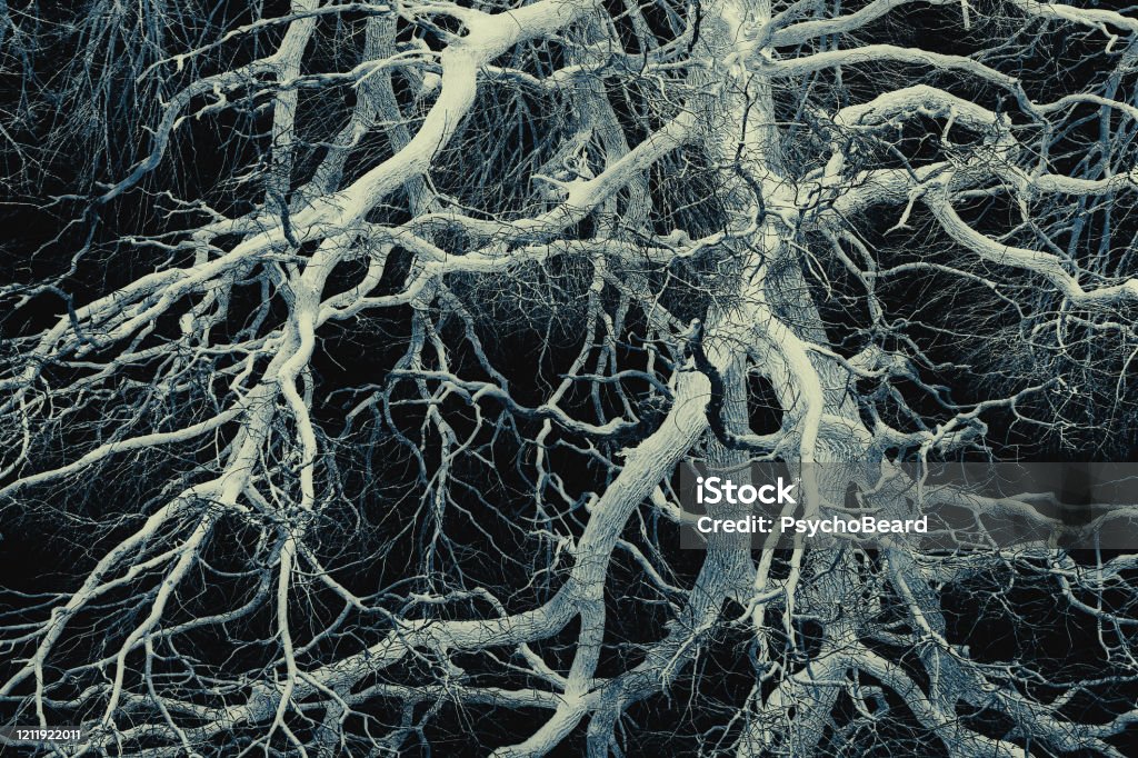 Psychedelic Tree Pattern Psychedelic Tree Branches Pattern For Background Stock Photo - Download ...