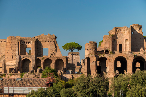 Rome, Italy – March 05, 2012: Ruins on the Palatine Hill on a sunny day