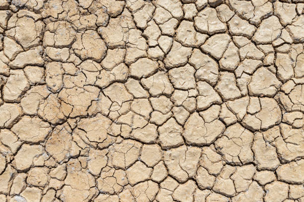 istock Brown dry soil or cracked ground texture background. 1211926352