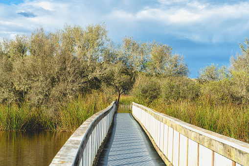 Oso Flaco Lake in Oceano Dunes State Vehicular Recreation Area, California