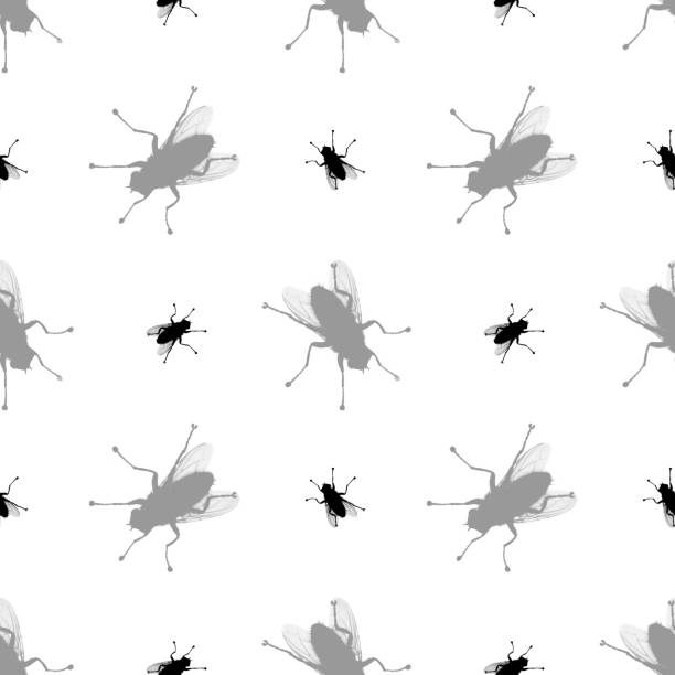 Seamless pattern black fly silhouette isolated, white background, bloodsucking insect repeating ornament, animal wallpaper, pest bug backdrop, disease carrier vector, virus and epidemic spread concept patrón sin costura sin costura sin costura salvírico silueta de mosca negra aislado, fondo blanco, animal chupasangre insecto repetir ornamento, fondo de pantalla animal, telón de fondo de insecto de plagas, portador de enfermedad, virus y concep