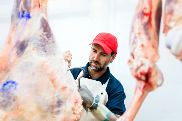 carnicero macho maduro trabajando en matadero - butcher butchers shop slaughterhouse hook fotografías e imágenes de stock