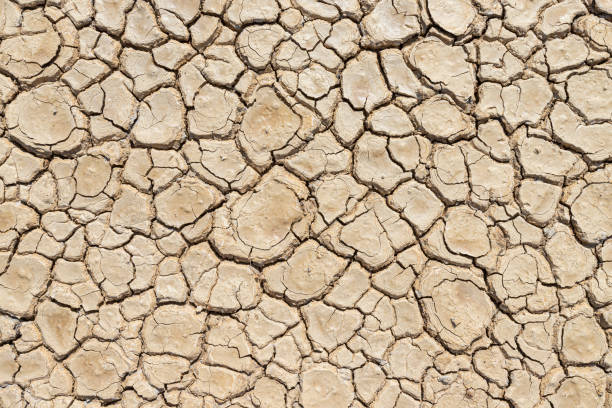 istock Brown dry soil or cracked ground texture background. 1211927800