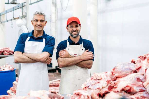 Smiling confident butchers in slaughterhouse Portrait of confident coworkers in slaughterhouse. Smiling male butchers are standing with arms crossed. They are standing in food processing plant. meat packing industry photos stock pictures, royalty-free photos & images