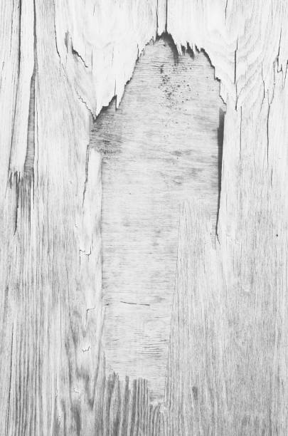 istock Black and white abstract wood texture. 1211933336