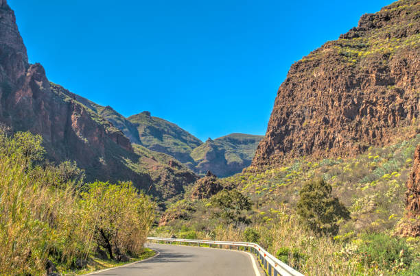 istock Barranco de Guadayeque, Grand Canary Island 1211937280