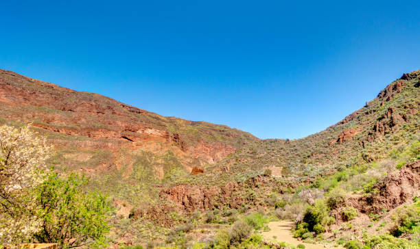 istock Barranco de Guadayeque, Grand Canary Island 1211937363
