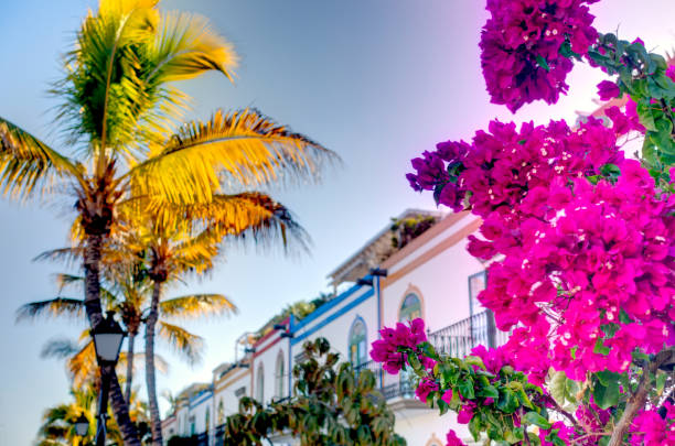 istock Puerto de Mogan, Grand Canary 1211937558