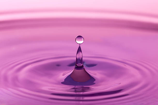 istock Balance of nature 121193759