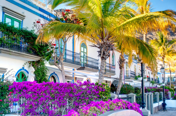 istock Puerto de Mogan, Grand Canary 1211937627