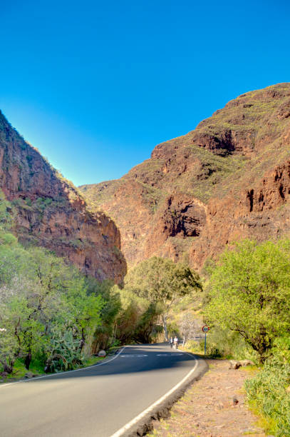 istock Barranco de Guadayeque, Grand Canary Island 1211937800