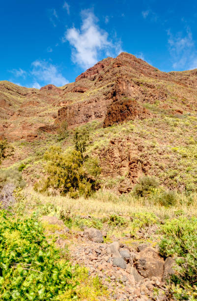 istock Barranco de Guadayeque, Grand Canary Island 1211937835