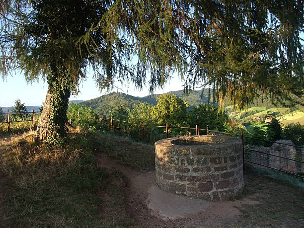 istock well near stronghold Emmendingen 121194073