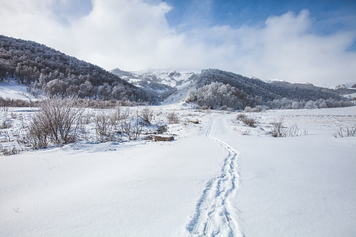 Footprints in the snow, Karachay-Cherkessia, Russia. Caucasus Mountains landscape.