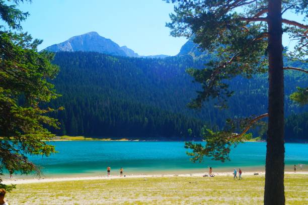 istock Mysterious black lake 1211947153