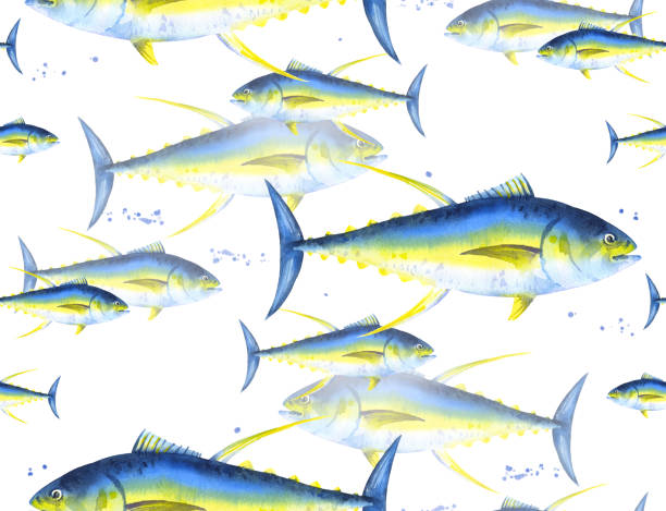 ilustraciones, imágenes clip art, dibujos animados e iconos de stock de patrón de atún amarillo - tuna sea underwater fish