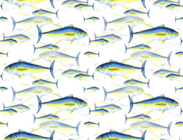 ilustraciones, imágenes clip art, dibujos animados e iconos de stock de patrón sin costuras de atún rojo, escuela de peces. envoltura de acuarela sobre fondo blanco - tuna sea underwater fish