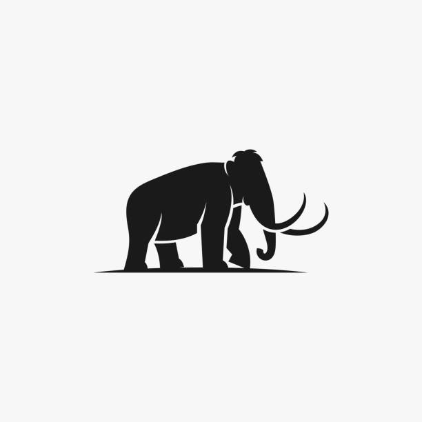 ilustrações, clipart, desenhos animados e ícones de ilustração vetorial estilo de silhueta de elefante. - mammals