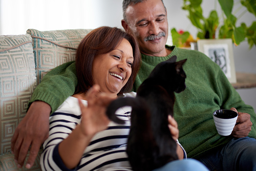 Shot of a mature couple relaxing with their cat on the couch at home