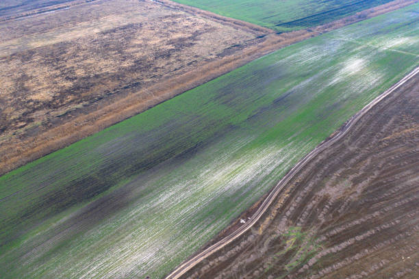 istock Soil erosion, sand penetrates through the black soil. 1211950115