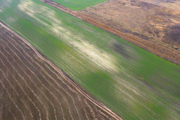 istock Soil erosion, sand penetrates through the black soil. 1211950116