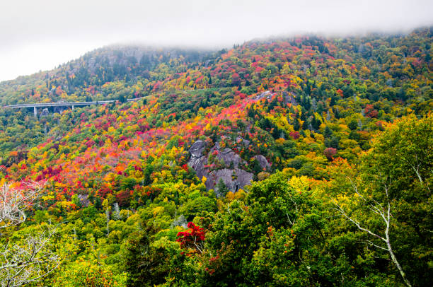 istock Blue Ridge Parkway autumn view 1211951472