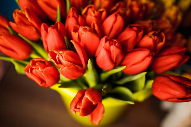 istock tied yellow and red tulips on wooden surface 1211955733