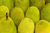 Jackfruit Asia tropical fruit