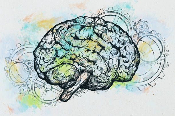 istock brain and gears outline sketch 1211961063