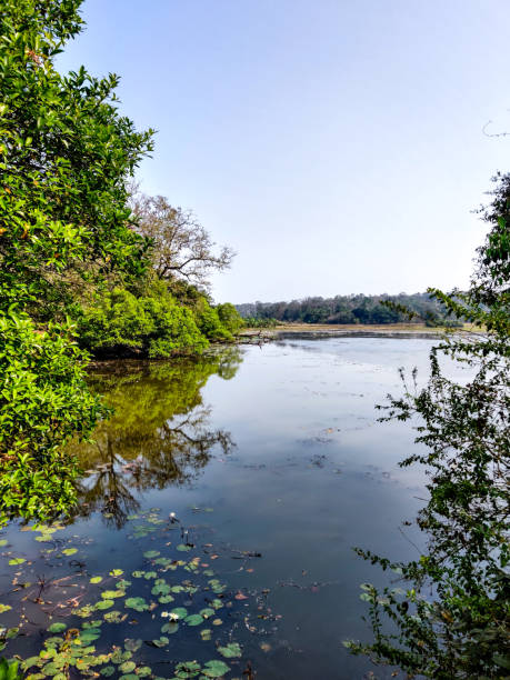 istock Beautiful view of nature and greenery 1211961076