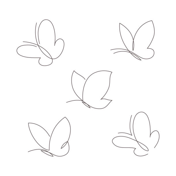 Butterfly continuous line vector illustration set. Collection of butter fly made with single editable path. Butterfly continuous line vector illustration set. Collection of butter fly made with single editable path. Modern continuous line drawing of simplicity butterflies silhouette for logo and tattoo. tattoo clipart stock illustrations
