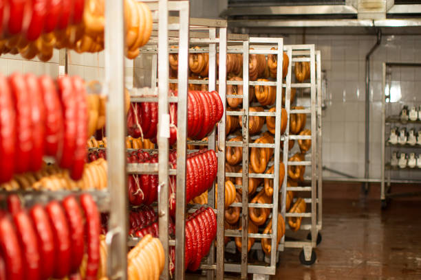 salsichas na fábrica de carne. culinária industrial e salsichas de fumo em uma fábrica de carne - cattle station - fotografias e filmes do acervo