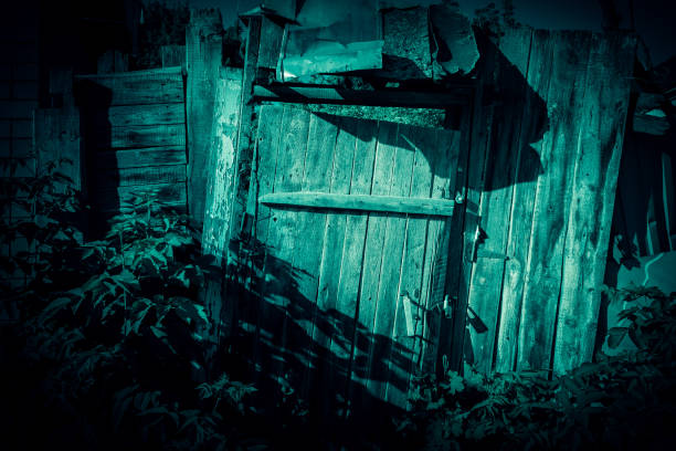 background horror, scary, darkness. a ghostly gloomy door and a fence, a black wooden gate with a lock, the entrance to the basement in the mystical night light of the moon with eerie strange shadows - lock door horror gate imagens e fotografias de stock