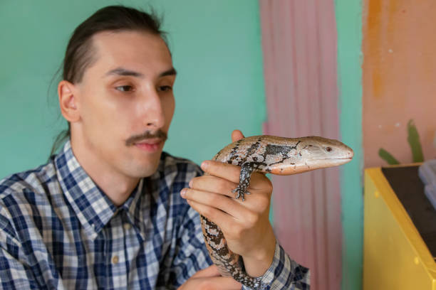 istock A man holds a lizard in his hand. Herpetologist. 1211968455