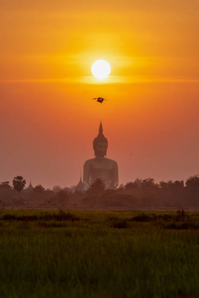 Huge Buddha image at sunset in the landscape in Angthong Province, Thailand. This large Buddha image is framed by the setting sun at sunset and a passing open billed stork bird making its way to roost for the night. Photographed across rice fields. theravada photos stock pictures, royalty-free photos & images