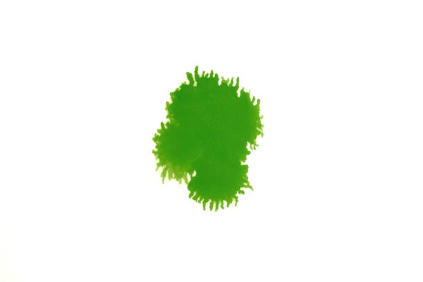 istock Green or light green watercolor spot spread on white background 1211971549