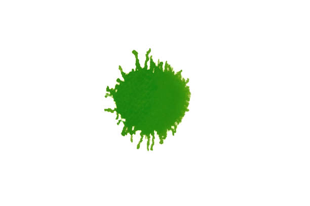 istock Green or light green watercolor spot spread on white background 1211971566