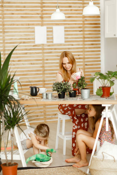 istock mom and daughters gaming in the kitchen 1211972132